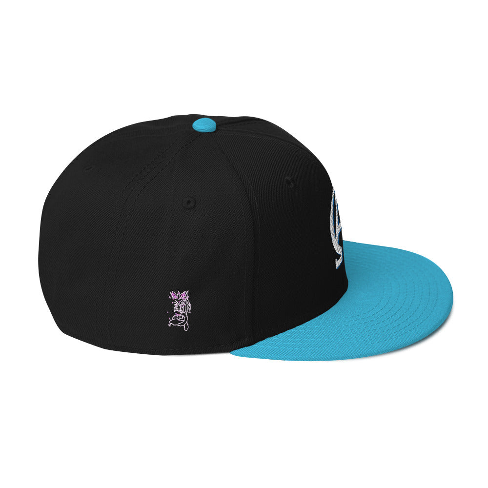 Alpha and Omega- Snapback Hat