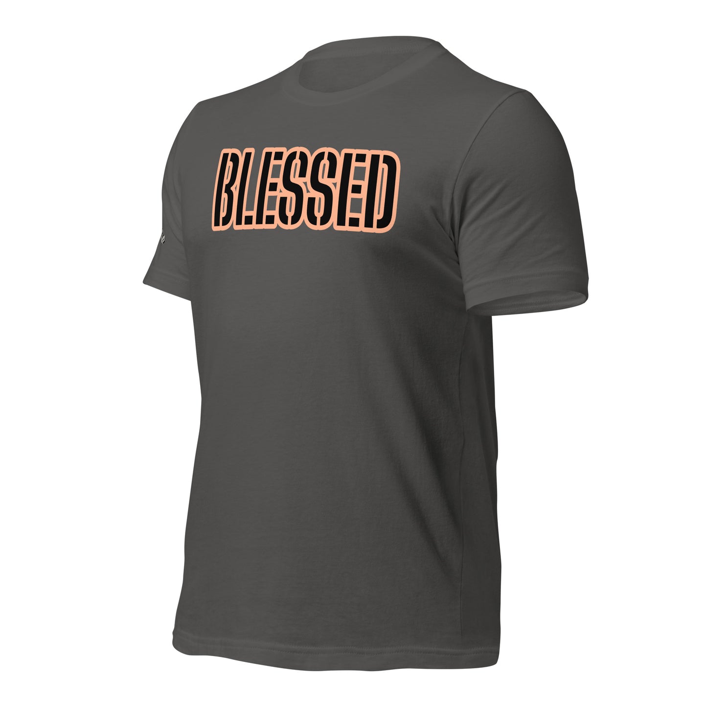 BLESSED- Unisex t-shirt