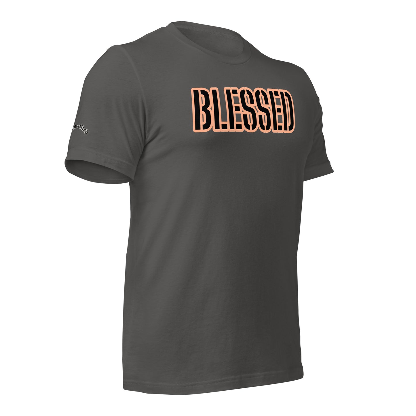 BLESSED- Unisex t-shirt